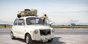 Triển lãm Rides of the Wild – Cơn lốc hoang dã của Frédéric Müller