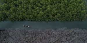 Trò chuyện cùng nghệ sĩ nhiếp ảnh Ngô Trung Dũng