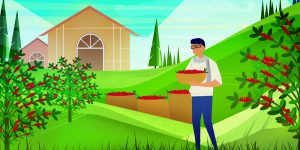 Ông chủ The Married Beans Duy Hồ – “Yêu cà phê là phải cưới”