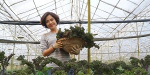 Cô chủ K’Ly Farm: Làm nông không khác làm giáo dục là mấy