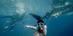 5 điểm đến lặn biển này sẽ khiến người theo dõi instagram của bạn phải ghen tị