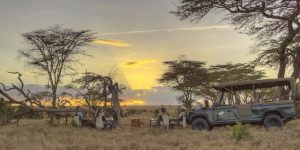 Phiêu lưu trên vùng đất “Vua sư tử”