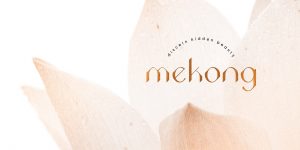 Sông Mê Kông qua lăng kính trà và nghệ thuật tại Dear TeaHouse