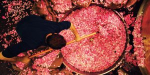 Bí mật của nước hoa Chanel No.5: 7 công đoạn làm nên loại nước hoa tuyệt tác