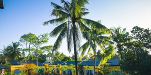 Khu nghỉ mát Bình Minh Ecolodge Riverside: Khi con nước tràn đồng, miền Tây đẹp mênh mang