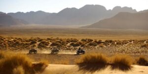 Cartier Tank Française: Hiện thân của vẻ đẹp Paris