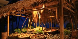 Đến Meliá Hồ Tràm Beach Resort thưởng thức phiên chợ hải sản