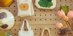 ECOXURY: 4 giá trị bền vững mà thương hiệu sen sấy khô Ecolotus theo đuổi