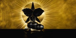 Guerlain ra mắt Orchidée Impériale Black lấy cảm hứng từ vẻ đẹp quyến rũ của loài hoa lan đen
