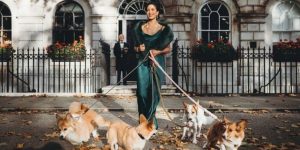 Tận hưởng trải nghiệm hoàng gia với đàn chó corgi và một quản gia riêng với 95.000 USD