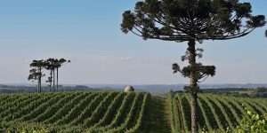 Xu hướng du lịch 2020: Kỹ thuật số, cá nhân hóa và gia tăng sự bền vững