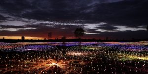 6 điểm đến nghệ thuật toàn cầu được mong đợi nhất năm 2020