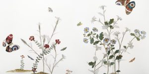 Van Cleef & Arpels ra mắt bộ sưu tập trang sức hình bướm lấy cảm hứng từ triều đại Joseon, Hàn Quốc