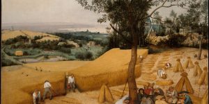 10 cơ hội hấp dẫn dành cho nghệ sĩ và tổ chức nghệ thuật toàn cầu trong tháng 06/2020