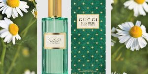 Masterclass: Tìm hiểu các hương hoa cúc trong nước hoa