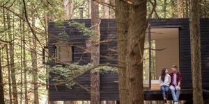 Ngôi nhà ẩn dật trong rừng New York chỉ tốn 20.000 USD phí xây dựng và thiết kế