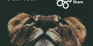 ECOXURY: Cartier khởi động chiến dịch đấu tranh bảo tồn thiên nhiên toàn cầu với quỹ The Lion’s Share Fund