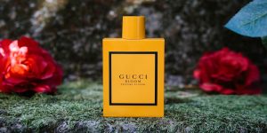 Lời vinh danh các loài hoa từ Bloom Profumo của nhà Gucci
