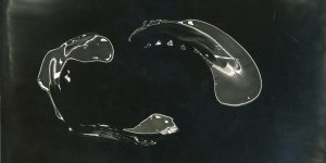 Salon Ánh Sáng: Một triển lãm nhóm Noirfoto của 6 nhiếp ảnh gia Việt mới và thành danh