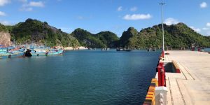 Tiny CatBa Boutique Marina – Điểm đến mới cho giới thượng lưu