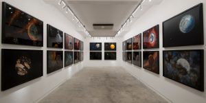 Galerie Quỳnh và hai thập kỷ đồng hành cùng nghệ thuật đương đại Việt Nam