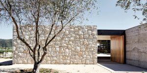 Nhà giữa cánh đồng nho: Kiến trúc vững chãi và bất tận