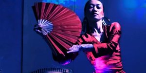 Âm – Thanh sắc – Màu: Dự án đầu tiên Kongo đồng hành cùng nhiều nghệ sĩ Việt