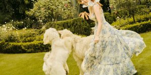 Thú cưng trong thế giới của Trang Hà: “Khách hàng của cô ấy, tất cả là giới thượng lưu”