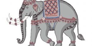 Binance NFT tôn vinh Ngày của Voi