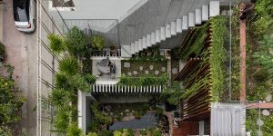 Vườn Trên Mái: Khi nhà ở cũng là một khu vườn