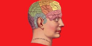 8 điều bạn không nhận ra vì mình là một Alpha “đầu đàn”