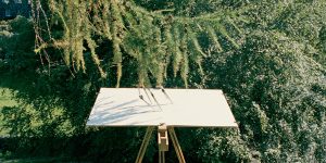 Tim Knowles – Nghệ sỹ, cây, lá và gió