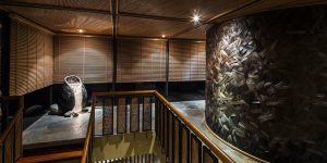 KIMONO: Tĩnh yên ở Hà Nội