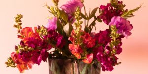 Để cắm hoa đẹp