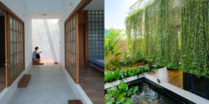 Freedom House: Chốn về ấm áp của những tâm hồn yêu tự do