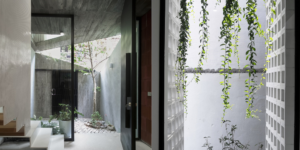 Maison Q: Nhà xanh trong ngõ nhỏ