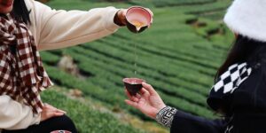 Sống tỉnh thức (P2): 4 nguyên lý cơ bản trong chánh niệm – tỉnh giác