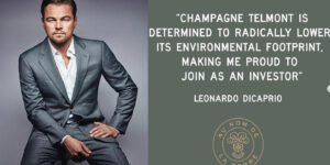 Leonardo DiCaprio mua cổ phần Champagne Telmont