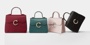 Chi tiền mua Panthère De Cartier Bag có đáng không?