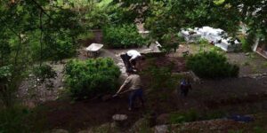 Các công cụ cực “kool” cho khu vườn nhỏ của bạn