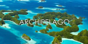 Phó chủ tịch Archipelago – Norbert Vas: “Đúng thời điểm là yếu tố quan trọng trong kinh doanh”