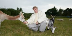 PETA ra treo giải thưởng trị giá 1 triệu USD để tìm ra ‘len thuần chay’