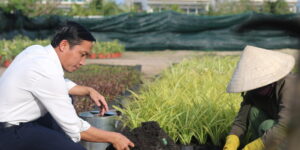 Alma Resort thành lập trang trại hữu cơ trong khuôn viên khu nghỉ dưỡng