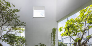 Cùng Areus ghé thăm ngôi nhà của ánh sáng và không gian xanh