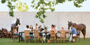 Chuồng ngựa xa xỉ, tại sao không?