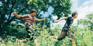 MONSTER: Sự đa chiều qua hiệu ứng Rashomon