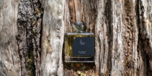 Jillian Switzerland: Nhập gia tùy tục