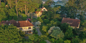 Nuôi dưỡng Rêu Xanh tại Khu nghỉ dưỡng Ana Mandara Đà Lạt: Một Làn Gió Mới tại Thành Phố Mùa Xuân Vĩnh Cửu của Việt Nam