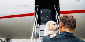 VistaJet đón đầu làn sóng du lịch chuyên cơ cùng thú cưng