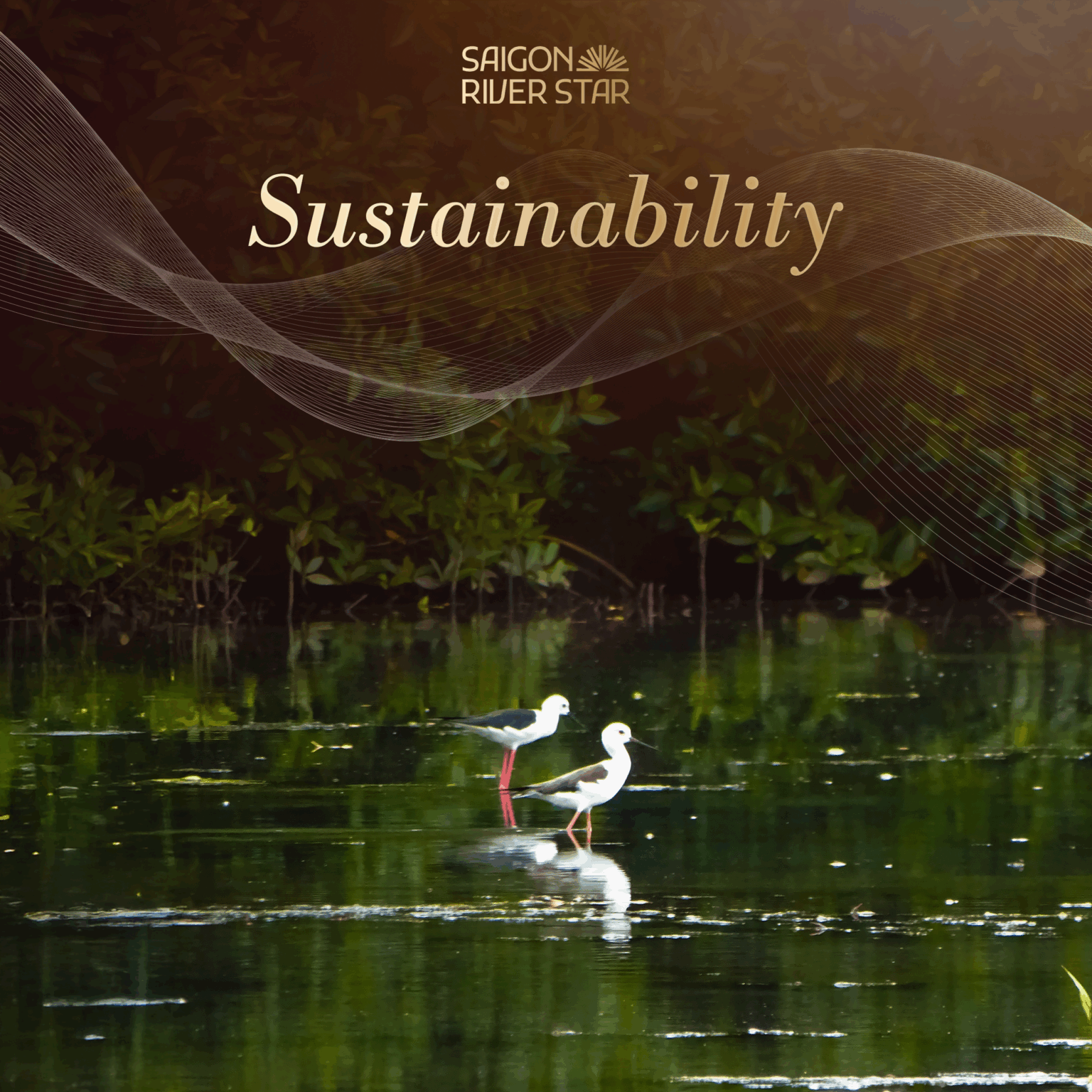 Sai Gon River Star - du lịch sông nước - trải nghiệm du lịch - văn hóa địa phương - luxuo 6